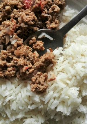 A picture of Minced meat served with plain rice.