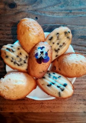Une photo de Madeleines pépites de chocolat