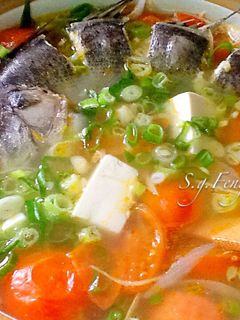 蕃茄薑絲鱸魚湯 的食譜成品照片