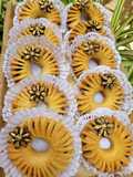 Kaak Nakach (Algerian Date-Filled Cookies)