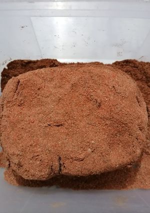 Una foto de Curado de lomo de cerdo