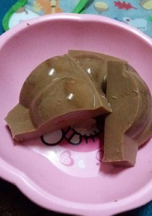 Foto resep Puding susu coklat 