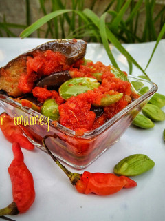 Foto resep Sambal tomat terong petai