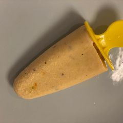 A picture of Lauki ki kulfi.