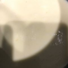 A picture of Made From Scratch Alfredo.