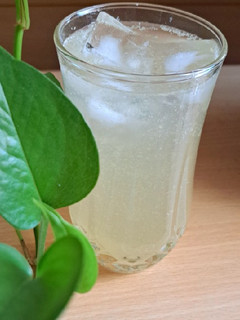 عکسی از دستور شربت کاسنی و آبلیمو