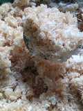Nasi Oyek