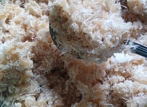 Foto resep Nasi Oyek