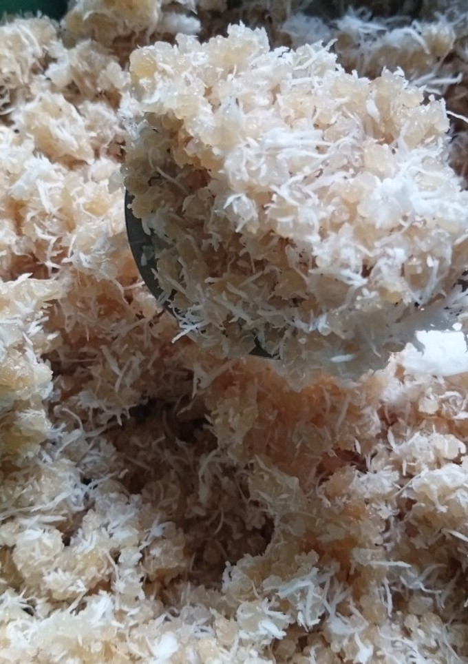 Foto resep Nasi Oyek