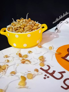 عکسی از دستور جوانه عدس