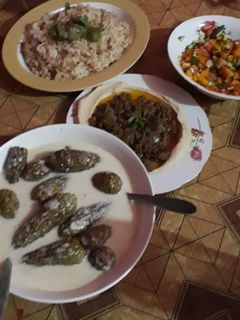 صورة لوصفة محشي كوسا بلبن