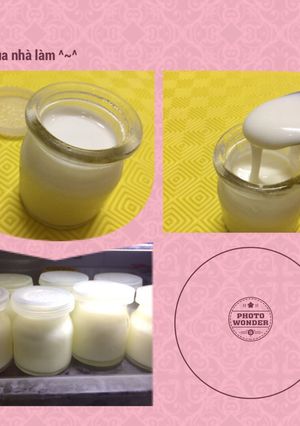Hình của món Yogurt sữa tươi.