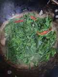 Tumis Pucuk Labu