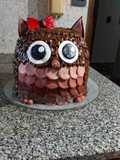 Torta de búho Decoración