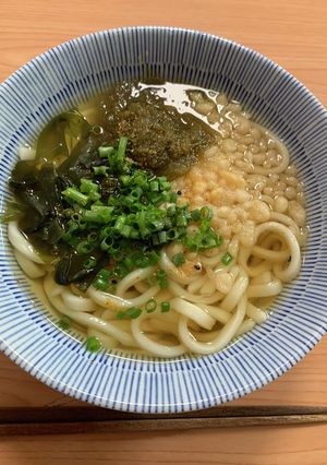 A picture of Dashi Doraku Udon Soup.