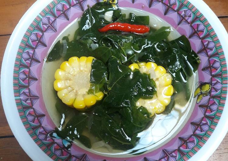 Sayur daun katuk jagung