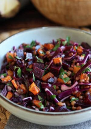 A picture of Lentil, butternut, red cabbage, beet and parsley salad (perfect for fall/winter).