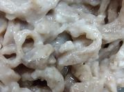 Una foto de tallarines caseros