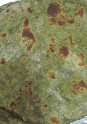 A picture of Palak chapati.
