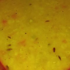 Yellow Moong dal A picture of Yellow Moong dal.