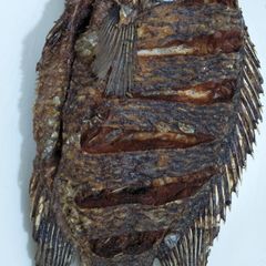 A picture of Fried tilapia.
