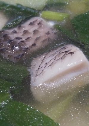 Foto resep Sop Ikan ala ibu
