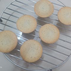 A picture of Coconut cupcakes.