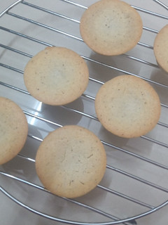 A picture of Coconut cupcakes.
