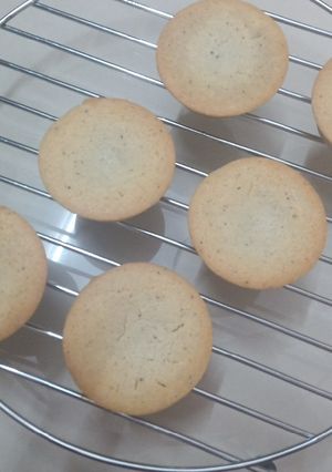 A picture of Coconut cupcakes.