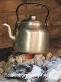 ☕🌲 Infusión del bosque sobre las brasas 🔥