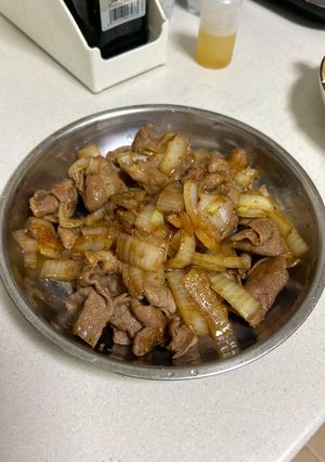 薑汁洋蔥燒肉 的食譜成品照片