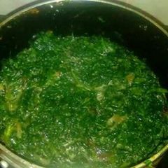 A picture of Cooked Miro and kunde.