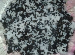 Foto resep Nasi oyek/sego oyek masak magic com