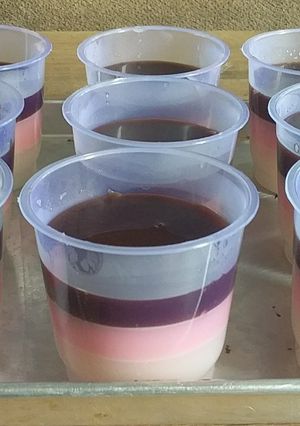 Foto resep Puding Susu Coklat Stroberi