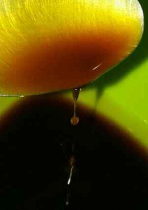 Foto principal de Miel de chancaca o panela