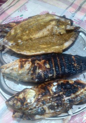 عکسی از دستور ماهی صبور