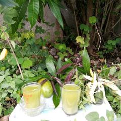 A picture of Mango Mint Juice.