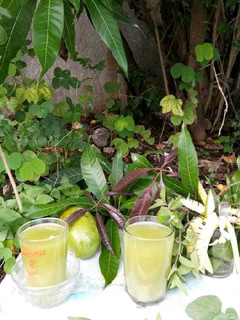 A picture of Mango Mint Juice.