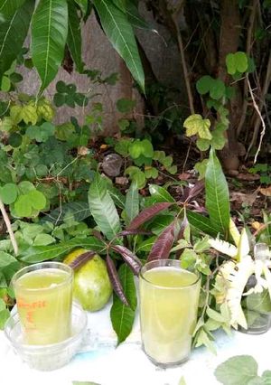A picture of Mango Mint Juice.