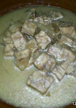 Foto resep Gulai tempe basi/lanas praktis