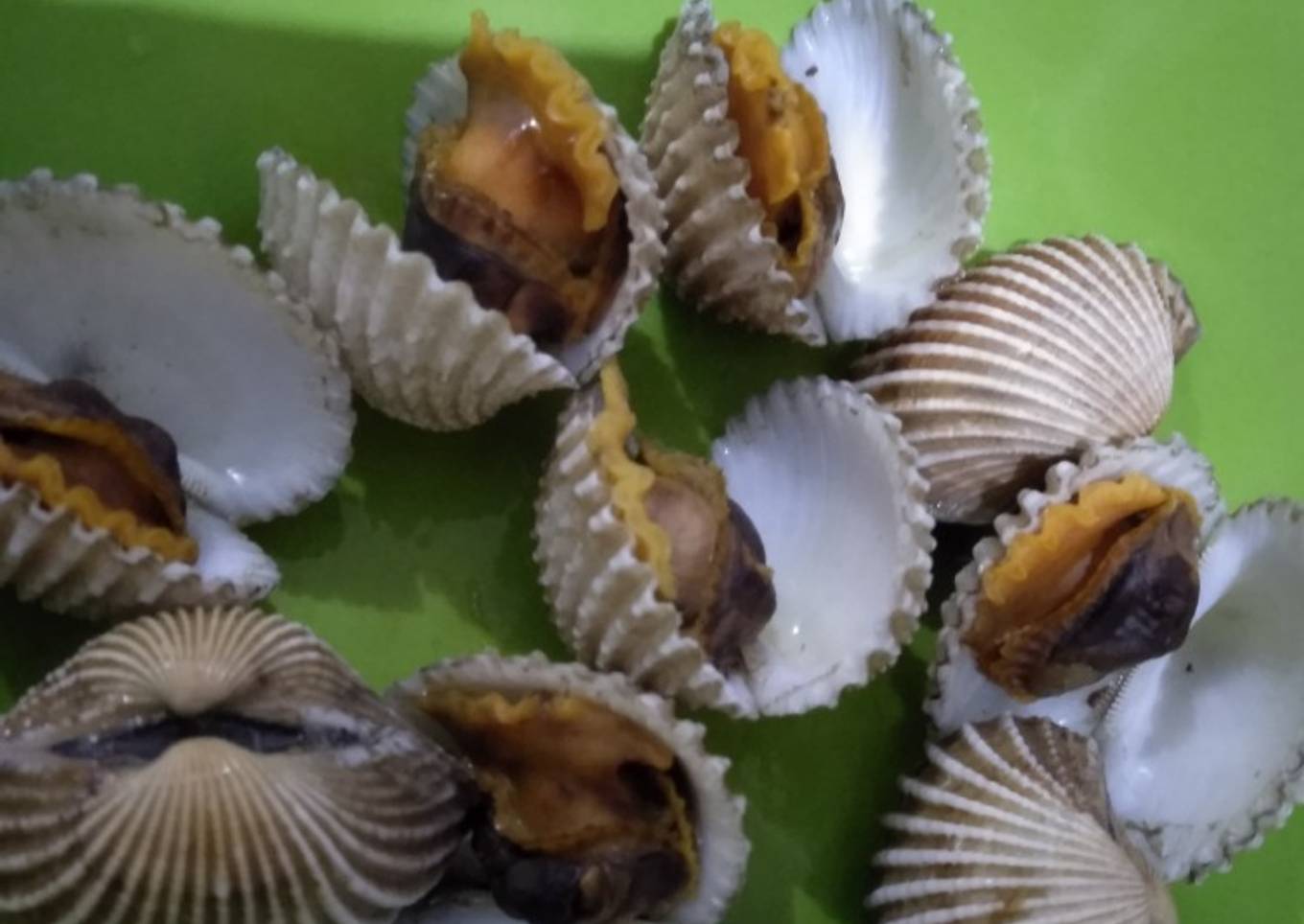 Kerang dara rebus