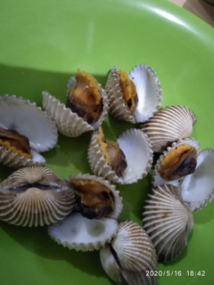 Foto resep Kerang dara rebus