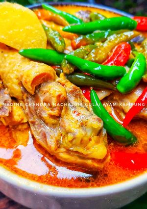Foto resep Gulai ayam kampung mercon