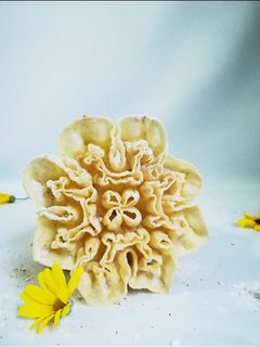 عکسی از دستور شیرینی پنجره ای.