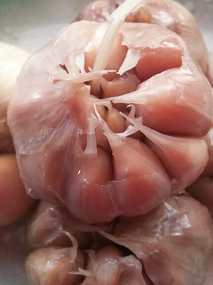 عکسی از دستور سیر ترشی یک ساله