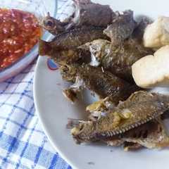 รูปของ Baby mujair, tahu goreng sambal terasi
