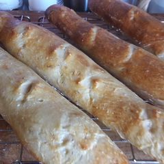 A picture of My style no knead French baguette.