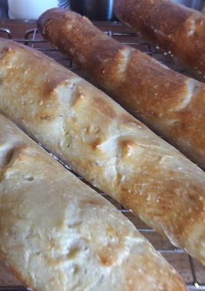 A picture of My style no knead French baguette.