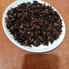 A picture of Fried termites.