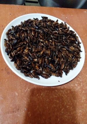 A picture of Fried termites.